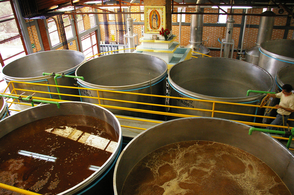 Tequila fermentation tanks