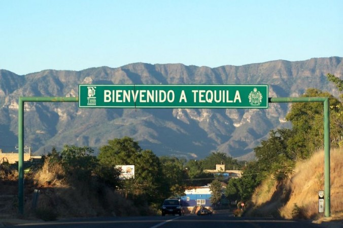 Essay about tequila